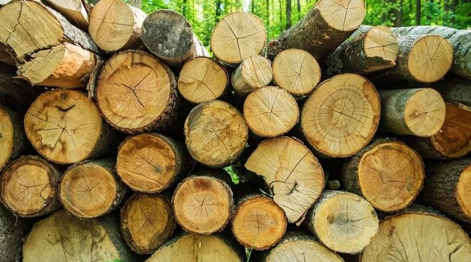 JN江南体育官方网站